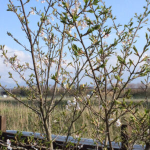 20140423a