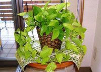 患者さまとのふれあいを大切にしています。